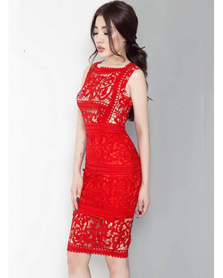 Đầm Ôm Ren Cao Cấp - 2081