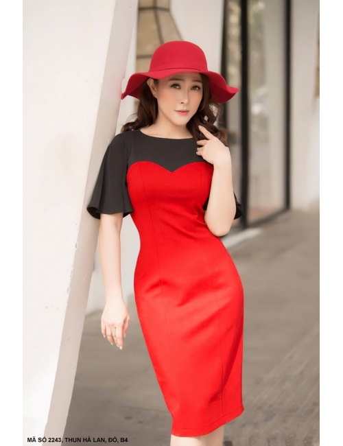 Đầm Phối 2 Màu Tay Loe - 2243
