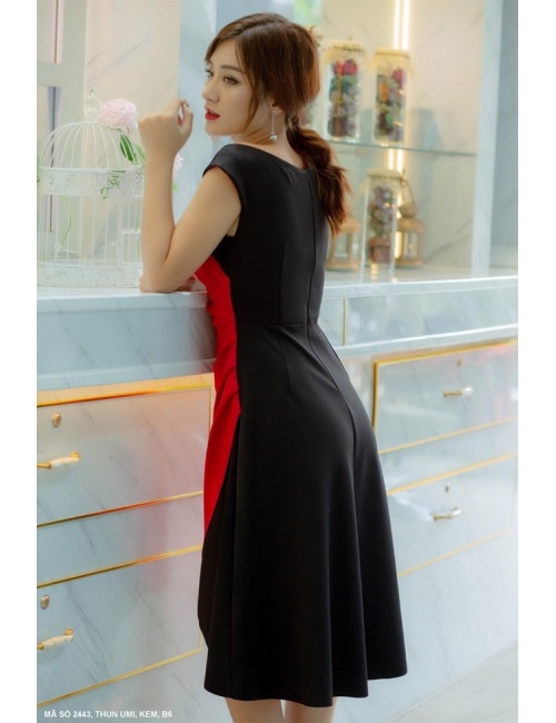 Đầm Xòe Sát Nách Phối 2 Màu - 2443