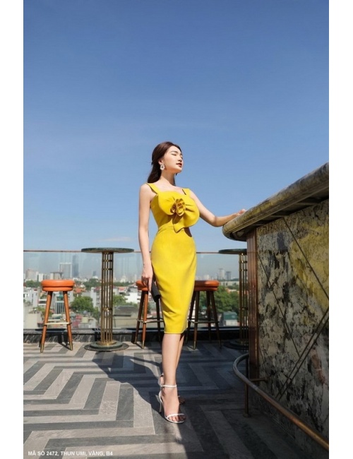 Đầm Ôm 2 Dây Đính Hoa Lớn Trước Ngực - 2472