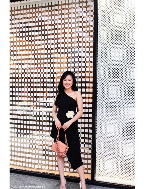 Đầm Cổ Xéo Lai Xéo - 2519