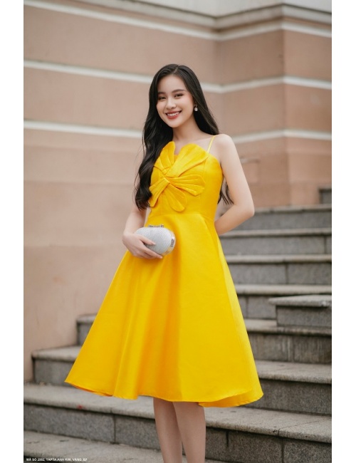 Đầm Xòe 2 Dây Đính Hoa Lớn Trước Ngực - 2582