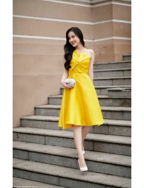 Đầm Xòe 2 Dây Đính Hoa Lớn Trước Ngực - 2582