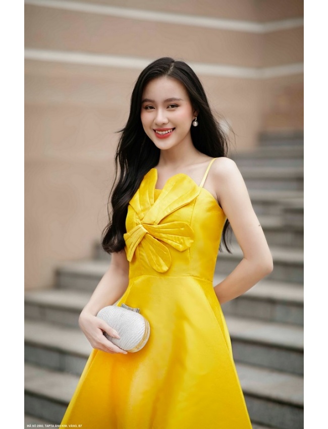 Đầm Xòe 2 Dây Đính Hoa Lớn Trước Ngực - 2582