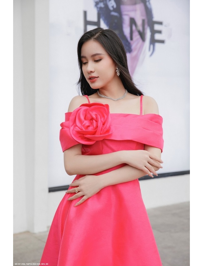 Đầm Xòe Trễ Vai Đính Hoa Hồng - 2584