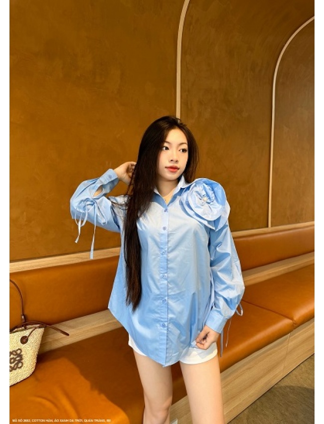 Bộ Áo Sơ Mi Tay Dài Và Quần Ngắn - 2682