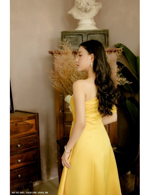 Đầm Xòe Dài Vai Xéo Đính Hoa Hồng - 2467