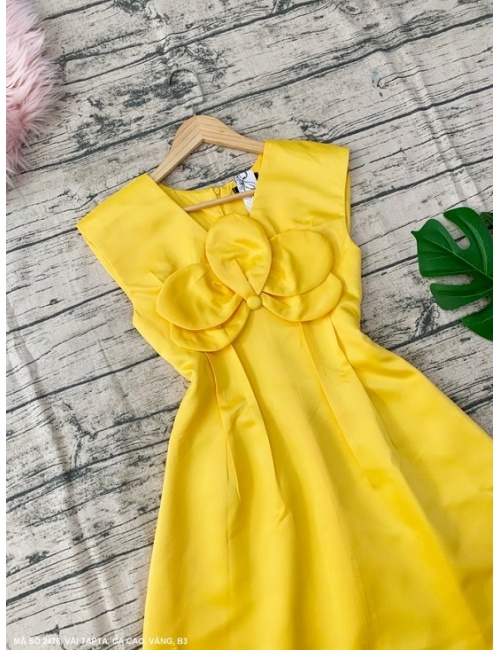 Đầm Xòe Cổ Tim Đính Hoa Lớn Trước Ngực - 2476