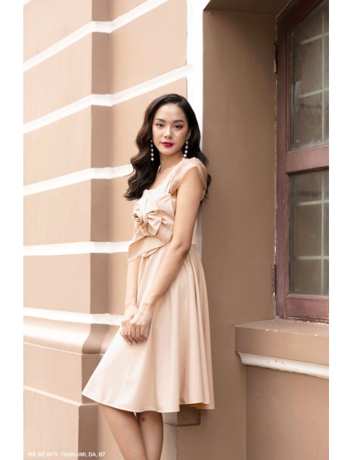 Đầm Xòe Bông Ngực Tay Voan - 2479