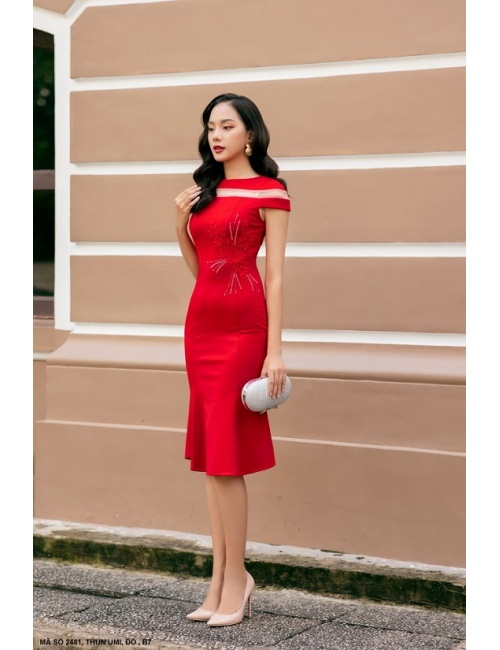 Đầm Thêu Tay Ngắn Phối Lưới - 2481