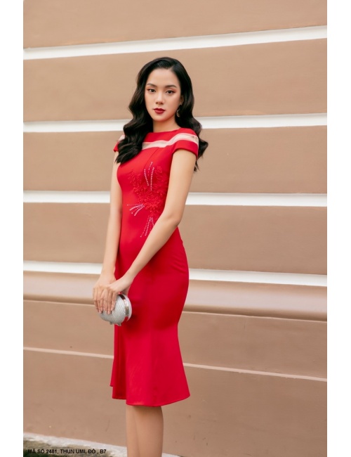 Đầm Thêu Tay Ngắn Phối Lưới - 2481