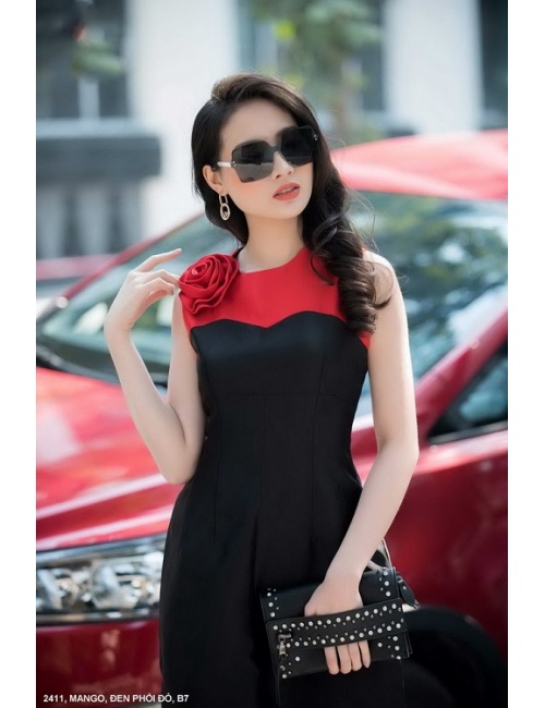 Đầm Xòe Phối 2 Màu Vai Đính Hoa Hồng - 2411