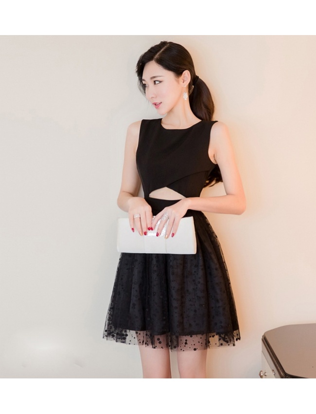 Đầm Xòe Phối Lưới Kiêu Kỳ - 114