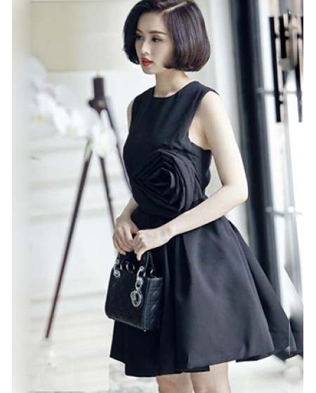 Đầm Xòe Tâm Tít Đính Hoa Hồng Sang Trọng - 54