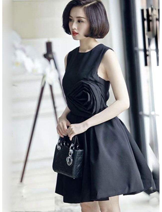 Đầm Xòe Tâm Tít Đính Hoa Hồng Sang Trọng - 54