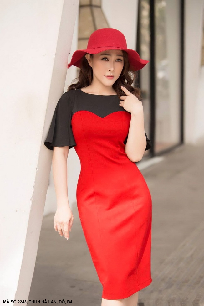Đầm Phối 2 Màu Tay Loe - 2243 - 2243 chụp thực tế tại Thời Trang Minh Ngọc